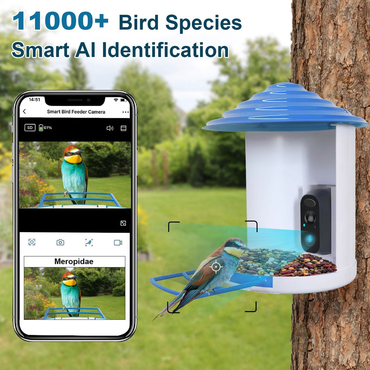Smart Bird Feeder with Solar Powered Camera 1080P HD AI Identify PIR Motion Auto Capture Video Cloud Card Storage WiFi Connection App Control IP65 Waterproof - Mercantile Mountain