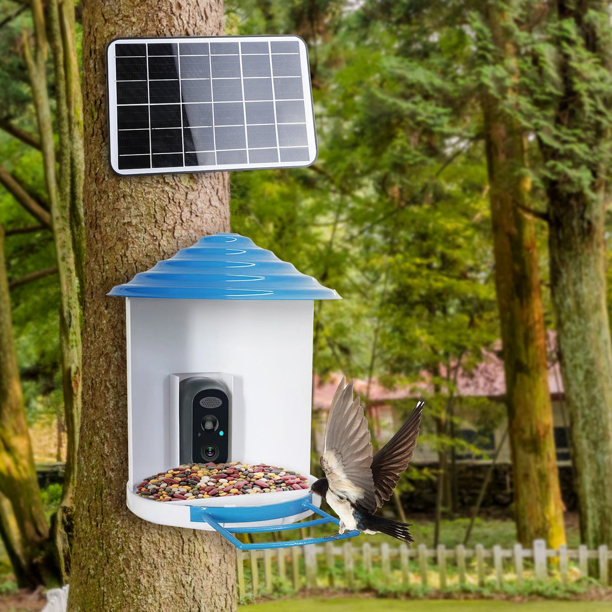 Smart Bird Feeder with Solar Powered Camera 1080P HD AI Identify PIR Motion Auto Capture Video Cloud Card Storage WiFi Connection App Control IP65 Waterproof - Mercantile Mountain