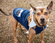 Touchdog Snowadayz Pom Pom Pet Hooded Sweater - Mercantile Mountain